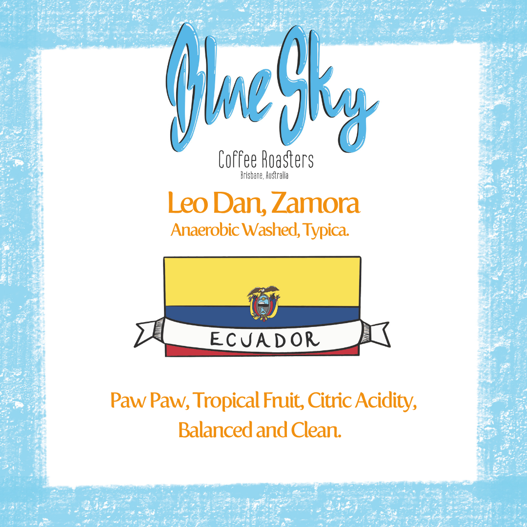 Leo Dan - Ecuador, Double Washed