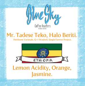 Halo Beriti - Ethiopia, Washed