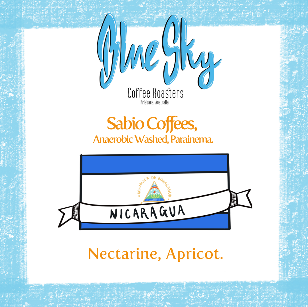 Sabio Coffee - Nicaragua, Anaerobic Washed