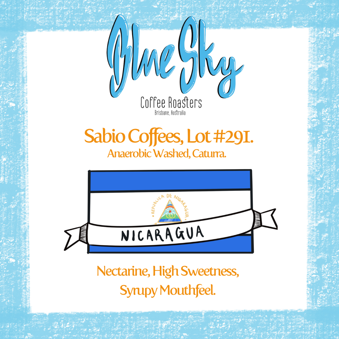 Sabio Lot #291 - Nicaragua, Anaerobic Washed