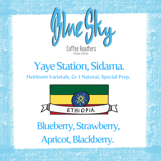 Yaye Station, Sidama - Ethiopia, Natural