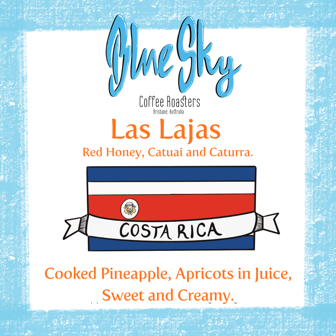 Las Lajas - Costa Rica, Red Honey