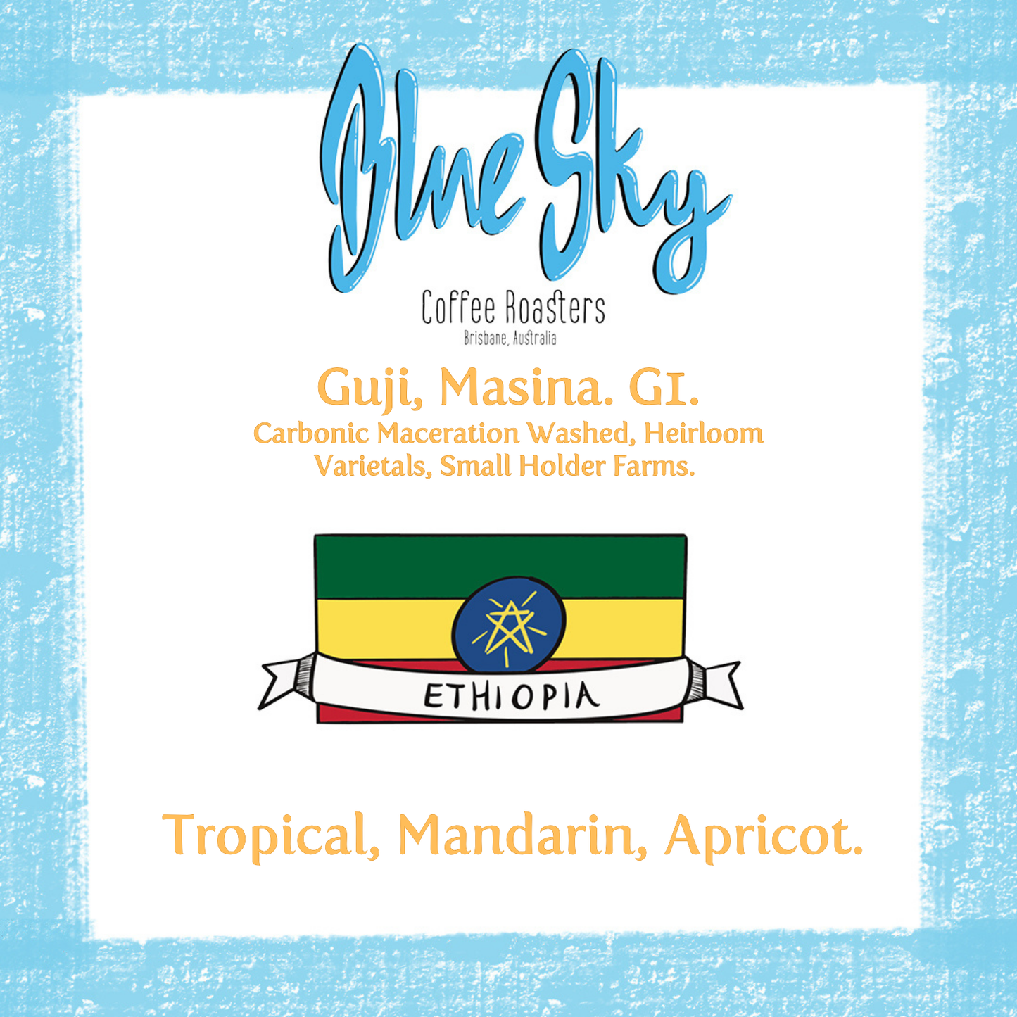 Guji, Masina Station - Ethiopia, Carbonic Maceration Washed