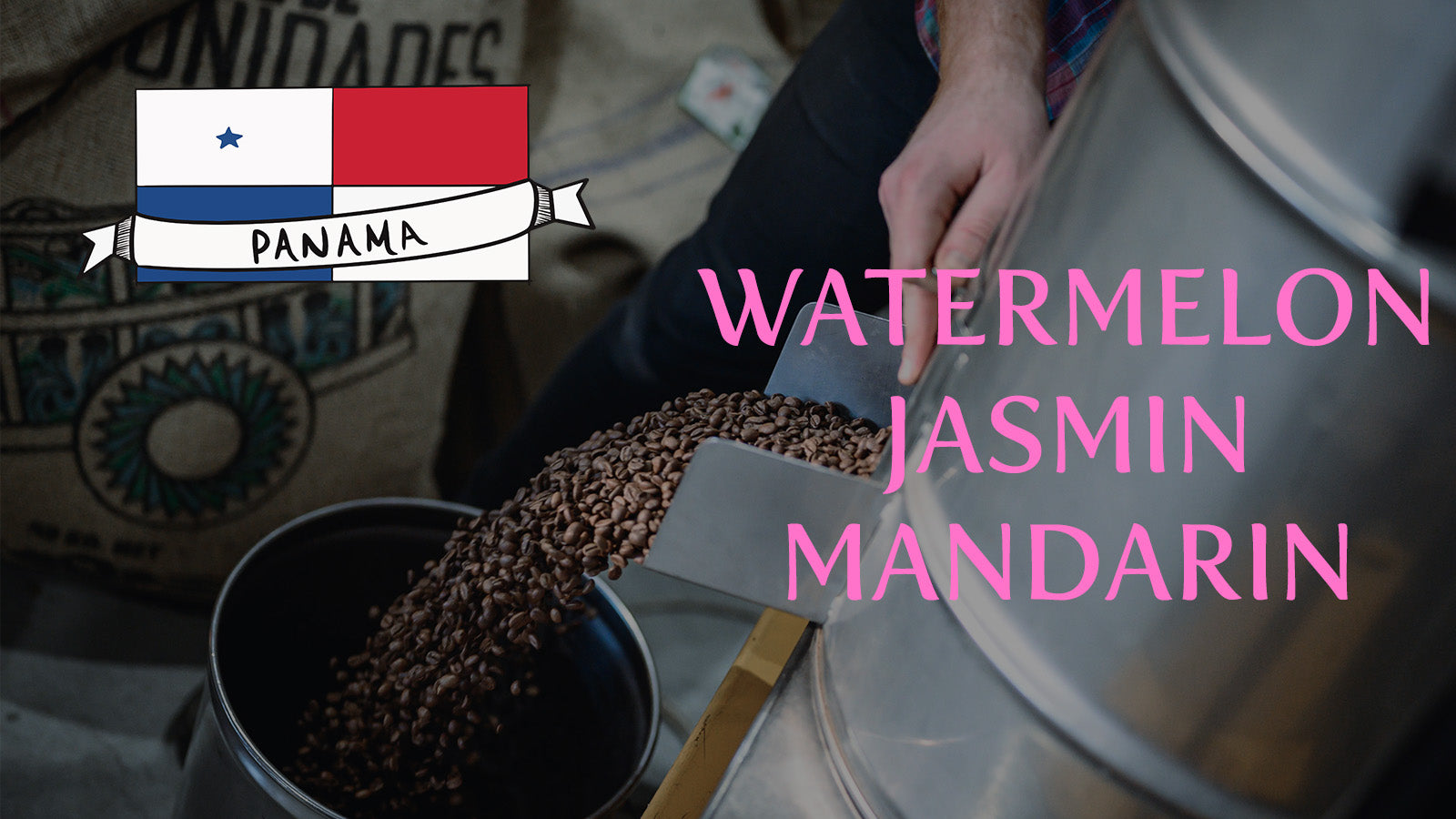 Panama Geisha, Desktop Banner, Single Origin Coffee Beans