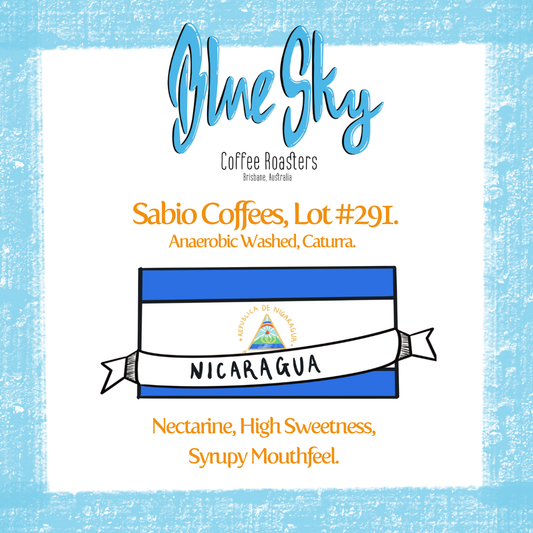 Sabio Lot #291 - Nicaragua, Anaerobic Washed