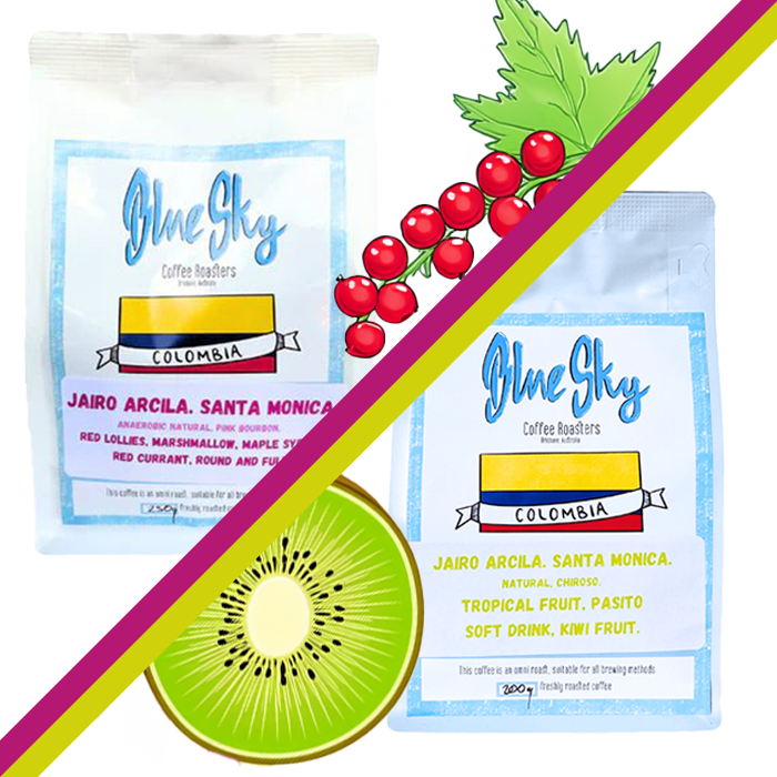 Santa Monica Colombia Bundle Deal - Pink Bourbon/Chiroso