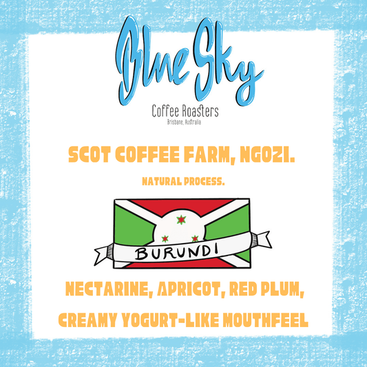 Ngozi SCOT Co - Op - Burundi - Blue Sky Coffee Roasters